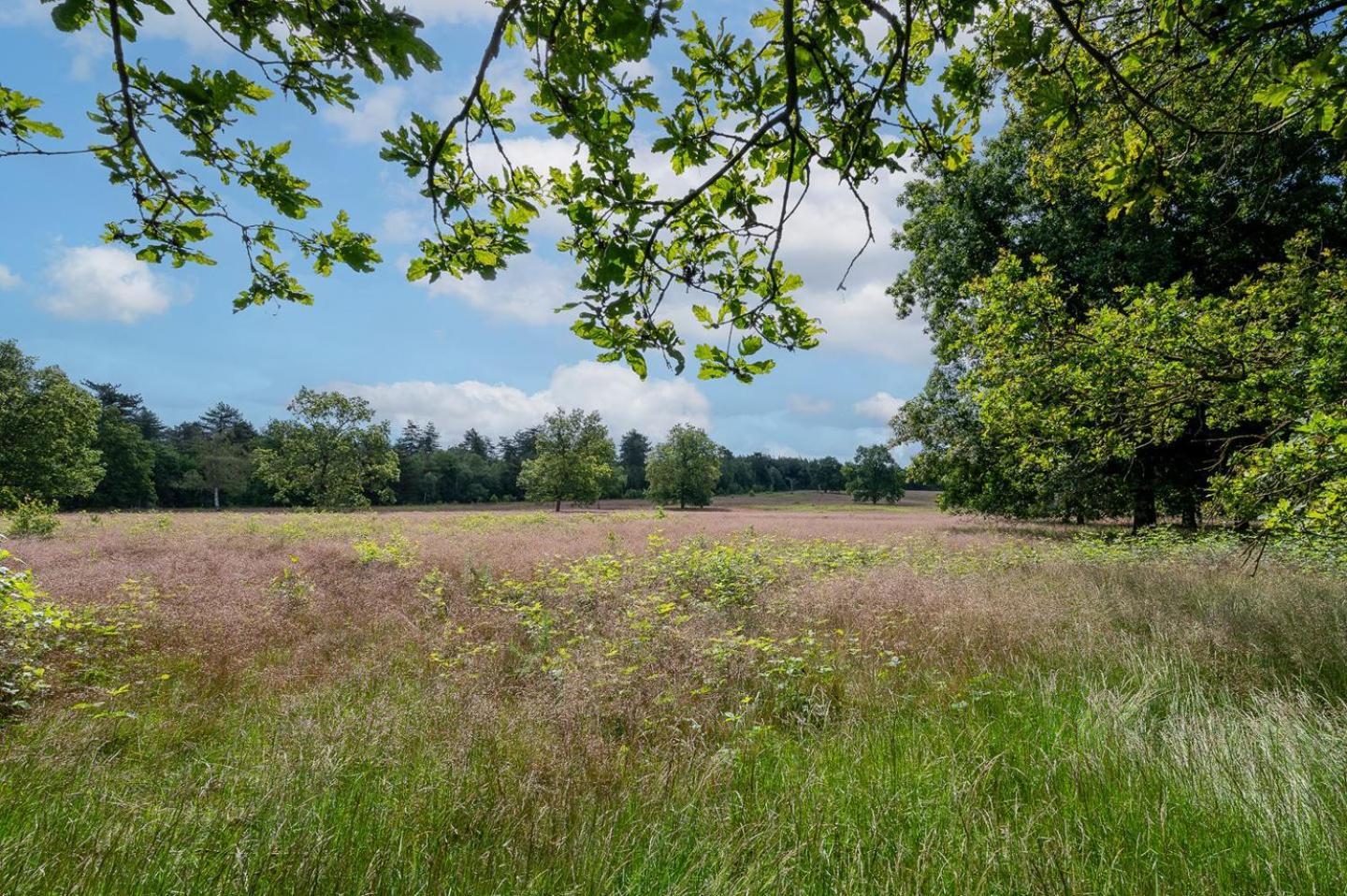 Landhuisje 31 'De Akkersteen' Bospark Ijsselheide Zwolle Hattemerbroek Eksteriør billede